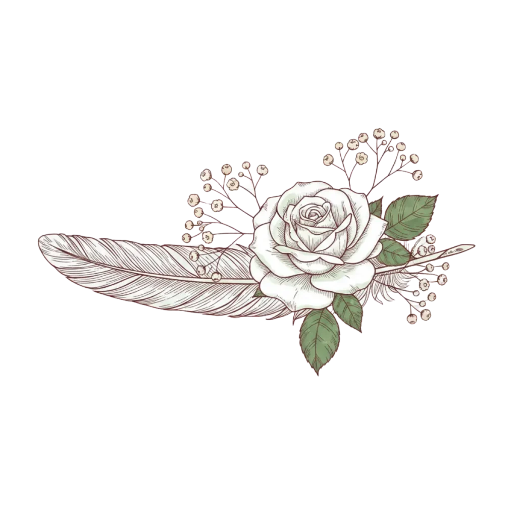 Illustration botanique raffinée d'une plume ancienne et d'une rose blanche, style gravure élégante pour mariage rustique chic Everley and Sage.